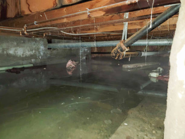 Best 24/7 water damage repair  in Placerville, CA