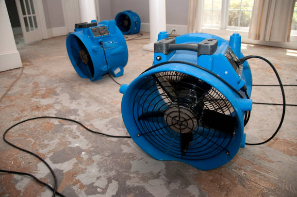 Best Sewage cleanup and water damage restoration  in Placerville, CA