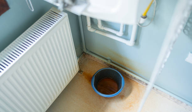 Best Water damage cleanup near me  in Placerville, CA