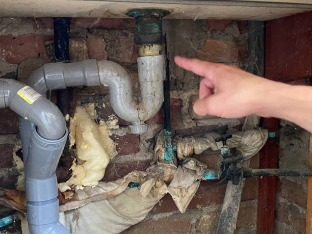 Best Water damage cleanup near me  in Placerville, CA